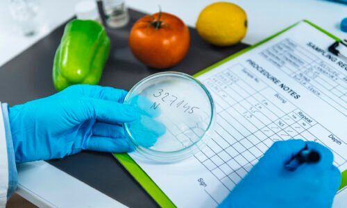 Food Quality Assessment in Microbiology Laboratory, microbiologist filling forms, following standard operating procedure