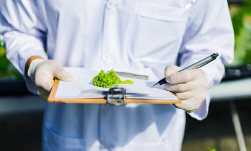 Scientists test the solution, Chemical inspection, Check freshness  at organic, hydroponic farm.